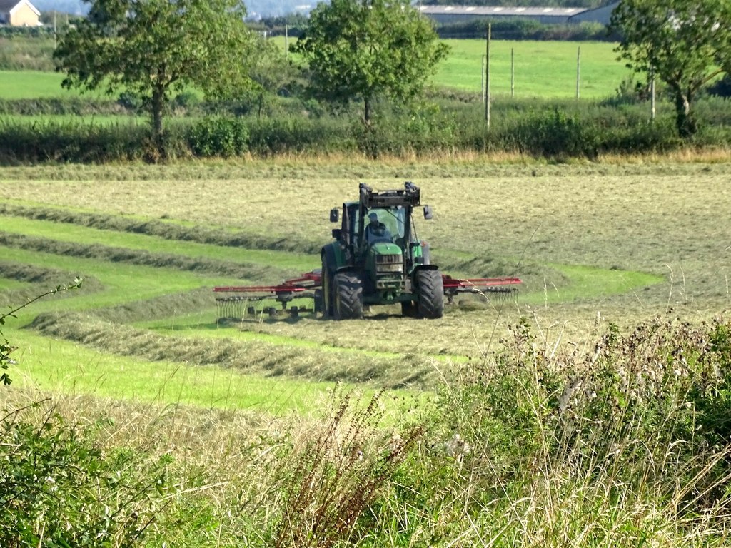 John Deere 6430 med en Lely-strängläggare under höskörd på ett fält.