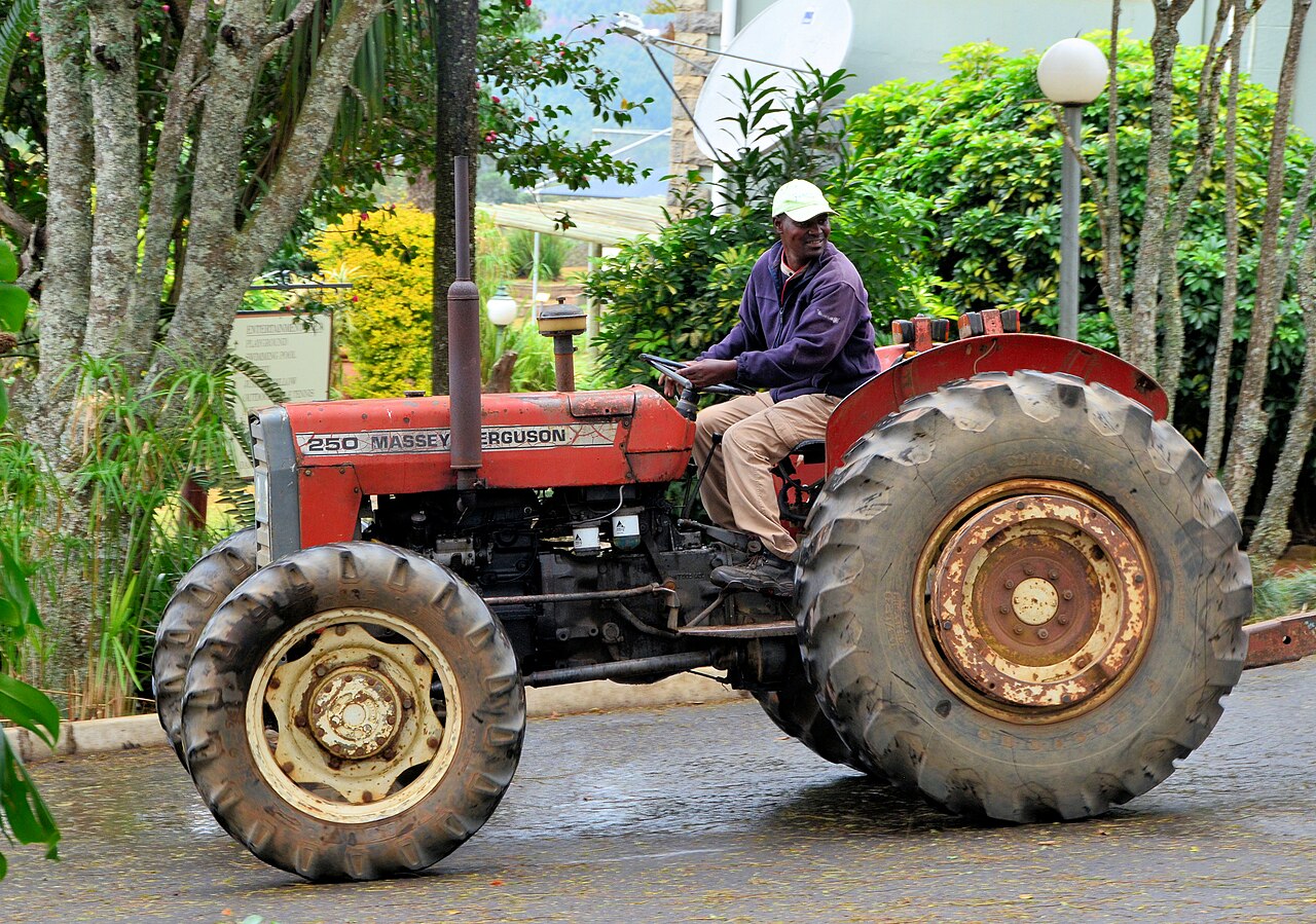 Massey Ferguson-traktor med tydlig 250-märkning på motorhuven, fotograferad i KwaZulu-Natal i Sydafrika.